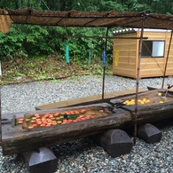 わさび平小屋にて