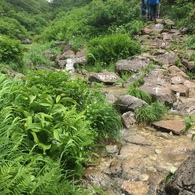 あと五分と。。石に