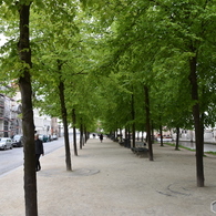 路地小路Brugge02