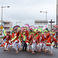 どんとロード八幡雀踊り 2015