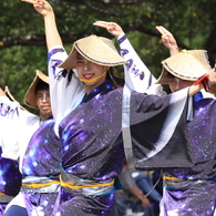 あっぱれ祭り(よさこい②)「民謡風」