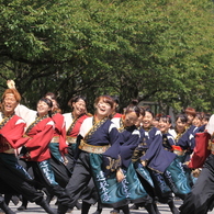 あっぱれ祭り（よさこい③）「若い力」