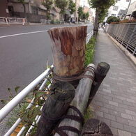 喪失感