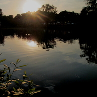 石神井公園の夕日と湧水2