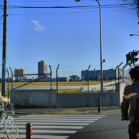 空と芝生