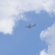 B737 JA8195