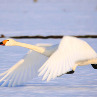Takeoff！