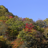 蒼空