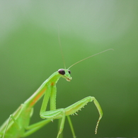 獲物発見