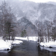 田代池　冬景色