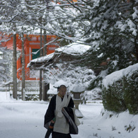 高野山　蛇腹道を行く#1