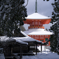 壇上伽藍　雪の根本大塔