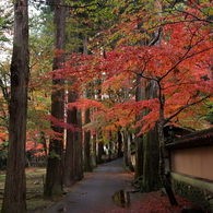 佛通寺 (3) 15.11.09