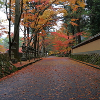 佛通寺 (5) 15.11.09