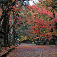 佛通寺 (6) 15.11.09