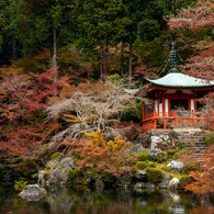 醍醐寺