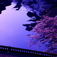 春のくつろぎ