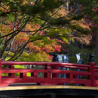 高野山の紅葉#1