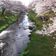 花より団子