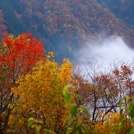 中腹の紅葉