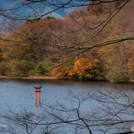 箱根九頭龍の森（紅葉）2