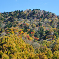 紅葉の山肌