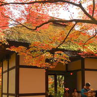 秋色に染まる山寺