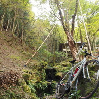 古知谷阿弥陀寺 