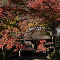 円覚寺にて－１