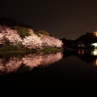 三渓園2010（２）