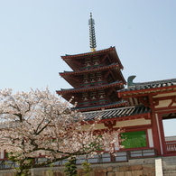 春の四天王寺五重塔