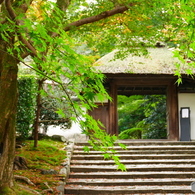 安楽寺2015の3