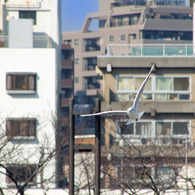 ゆりかもめ
