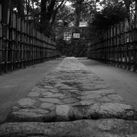京都年の瀬散歩－解脱への路－