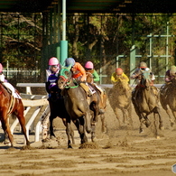 園田競馬 2015年12月29日(火)