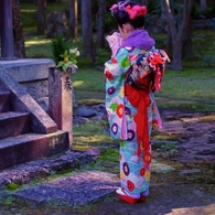 新春の寿ぎ