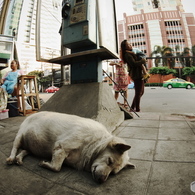 Bangkok City Walk 7