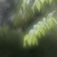 雨の午後
