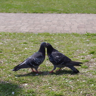 春の出会い？