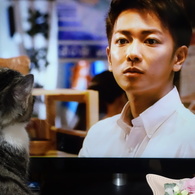 観る