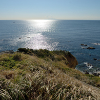 城ヶ島_02