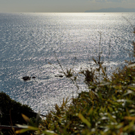 城ヶ島_03