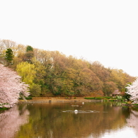 絶景！？