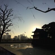 明けていく平成２８年