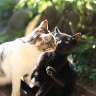 ちゅう❤
