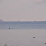 2016.1.25琵琶湖の浮島現象#1