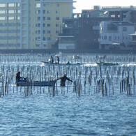 こちら浜名湖　２