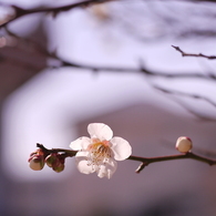 時の流れ：写真歌