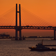 Yokohama Morning Glow.