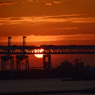 Yokohama Morning Glow...